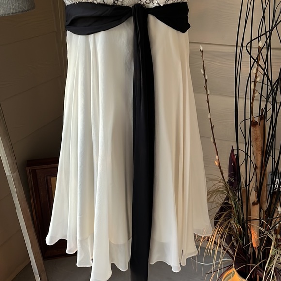 Silk Adjustable Straps Empire Silhouette.Preowned - Picture 3 of 9